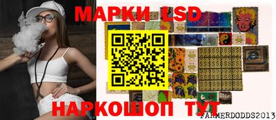 индика Рузаевка