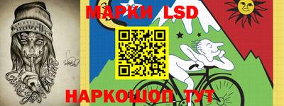 индика Рузаевка