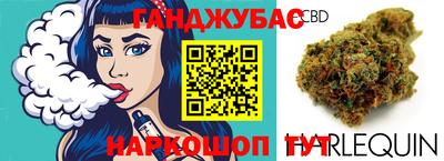 индика Рузаевка