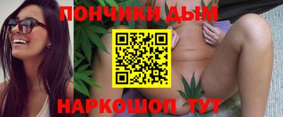 индика Рузаевка