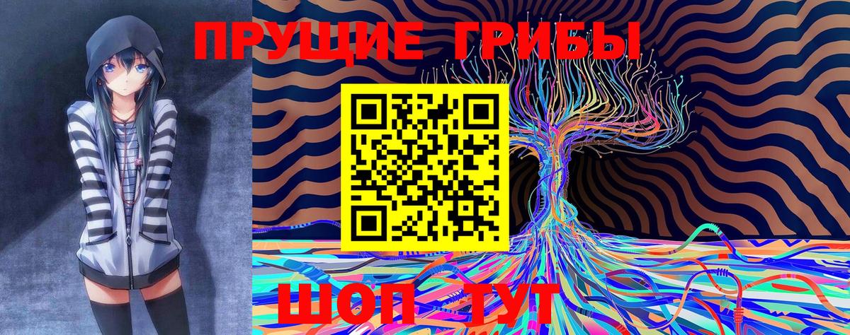 как найти закладки  Вход с VPN  Орск  Псилоцибиновые грибы мухоморы 