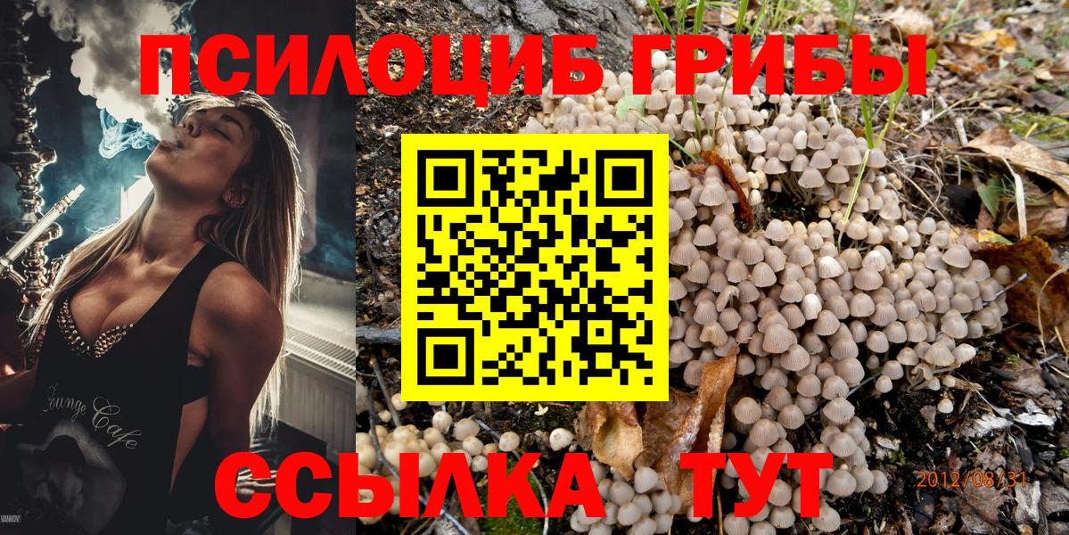 Галлюциногенные грибы Magic Shrooms Орск